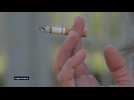 Journée mondiale sans tabac : La tendance des cigarettes électroniques