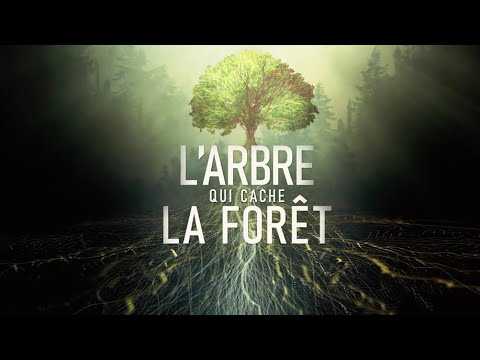 L'arbre qui cache la forêt - Bande-annonce