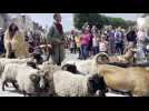 VIDEO. Morceaux choisis du défilé de la fête médiévale de Guérande