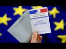 VIDÉO. Élections européennes : comment s'y retrouver dans les 38 listes ?