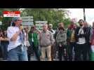 VIDEO. Après les bombardements sur Rafah, 400 manifestants à Nantes en soutien au peuple palestinien