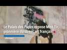 Le Palais des Papes expose Miss Tic, pionnière du street art français