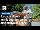 Rencontre avec Constant Lacroix, apiculteur de La Mouche Avesnoise