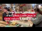 VIDÉO. À Saint-Brieuc, l'atelier Bois Ludik booste la créativité