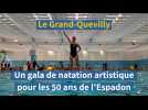 Un grand gala de natation artistique pour fêter les 50 ans de l'Espadon Grand-Quevilly