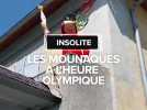 Les mounaques à l'heure olympique