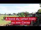 VIDÉO. À la découverte du safari train au zoo de Cerza, près de Lisieux
