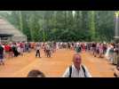 La danse toujours à l'honneur au festival Het Lindeboom de Loon-Plage