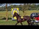 Deuxième réunion de l'année des courses à l'hippodrome d'Abbeville, le 21 juillet 2024.