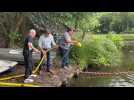 Une course de canards en plastique à Coudekerque-Branche