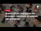 VIDEO. Brevet 2024 : retrouvez les premiers résultats, académie par académie