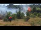 Premier feu de végétation de la saison estivale 2024 à Sigean dans l'Aude