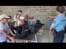 Aire-sur-la-Lys : les élèves de l'école de Mametz visitent la gendarmerie