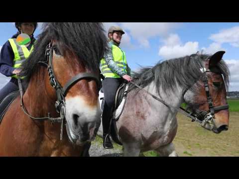 Nieuwe campagne Paard op de baan Kalm aan