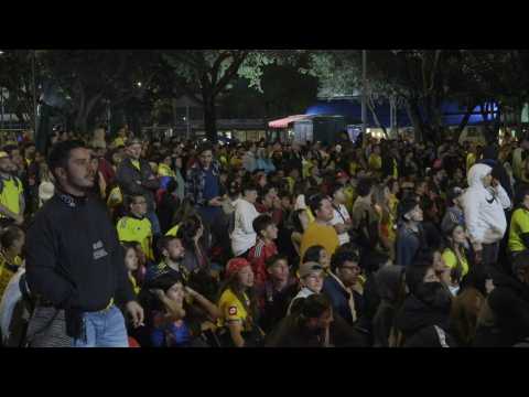 Colombia football fans cheer on team as Copa America final starts