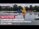 Natation : Compiègne vibre pour les Championnats de France d'eau libre