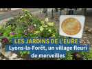 Lyons-la-Forêt, un village fleuri de merveilles