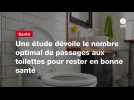 VIDEO. Une étude dévoile le nombre optimal de passages aux toilettes pour rester en bonne santé