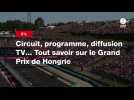 VIDÉO. F1. Circuit, programme, diffusion TV... Tout savoir sur le Grand Prix de Hongrie