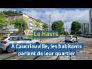 Série d'été. Quartier Libre à Caucriauville au Havre