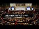 Assemblée nationale, le vote