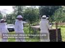 A la rencontre du monde des abeilles dans un rucher de Saint-Gobain