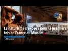 Le naturisme s'expose pour la première fois en France au Mucem