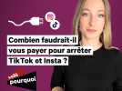 Et si on nous payait pour arrêter TikTok et Instagram ?