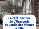 À Lille: le café-cantine de l'été de L'Orangerie du Jardin des Plantes