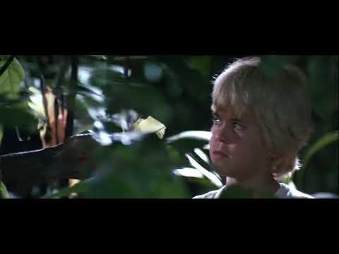 Bande annonce La forêt d'émeraude