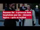 VIDÉO. Royaume-Uni : la princesse Anne hospitalisée pour des « blessures légères » après un incident