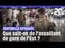 Sentinelle attaquée au couteau : que sait-on de l'attaquant de la gare de l'Est ? #SHORTS