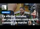 la ville de Roubaix fait installer deux pigeonniers contraceptifs.