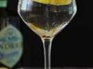Gin tonic, le cocktail incontournable pour l'apéritif!
