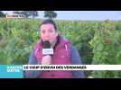 Journal de 8H : le coup d'envoi des vendanges et le coût du transfert du MIN