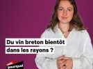 Du vin breton bientôt dans les rayons ?