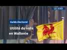 Guide électoral communal : à quoi sert mon vote en Wallonie ?