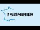 Sommet de la Francophonie de Villers-Cotterêts : ce qu'il faut savoir sur la langue française