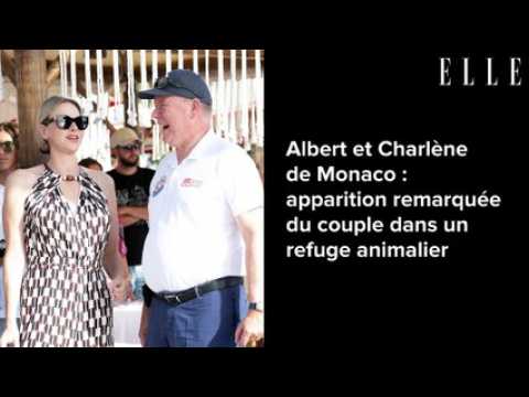 VIDEO : Albert et Charlne de Monaco : apparition remarque du couple dans un refuge animalier