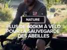 Il parcourt à vélo plus de 400 km pour sensibiliser à la sauvegarde des abeilles.