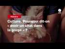 VIDÉO. Culture. Pourquoi dit-on « avoir un chat dans la gorge 