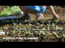 Revivez les meilleurs moments des Trophées de l'agriculture de la Meuse