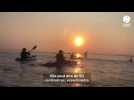 VIDEO. Dans la baie du Mont Saint-Michel, le mascaret se surfe en kayak