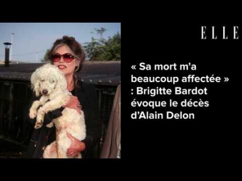 VIDEO :  Sa mort m'a beaucoup affecte  : Brigitte Bardot voque le dcs d?Alain Delon