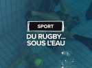 Du rugby... sous l'eau, c'est le rugby subaquatique !