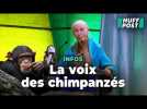 À Paris, Jane Goodall s'adresse à l'Unesco en parlant « chimpanzé » avant la COP16