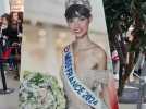 Amiens Dury: ils sont venus voir Miss France