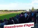 Hippodrome d'Agen : ils gagnent un concours, et deviennent co-propriétaires d'un cheval de course