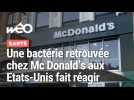 La bactérie E.Coli retrouvée dans des burgers Mc Donald's aux Etats-Unis : quels risques en France ?