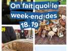 On fait quoi dans l'Eure le week-end du 25, 26 et 27 octobre ?